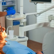 Rigenerazione ossea guidata: un approccio avanzato per l'implantologia dentale